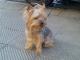 Avatar de paulamrg