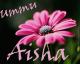 Avatar de Ummu Aisha